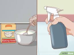 천연곰팡이제거제