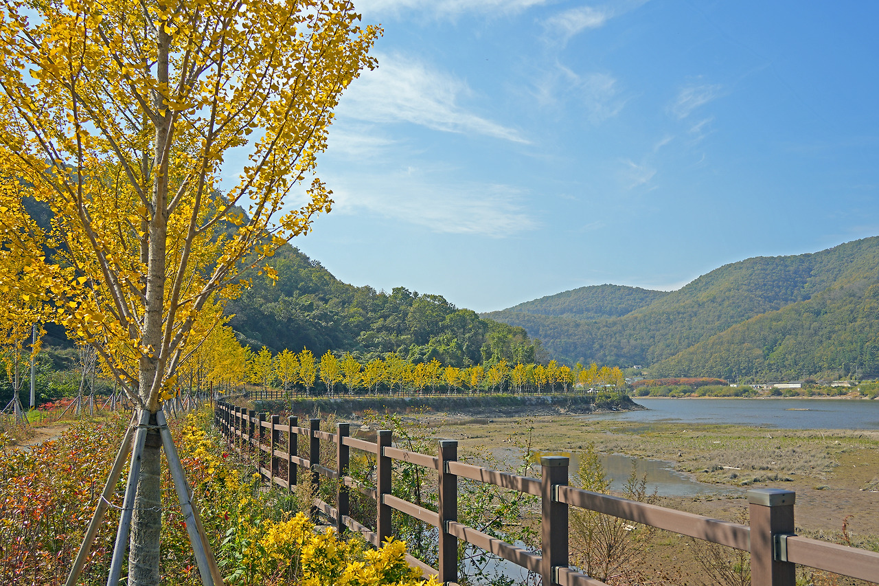 도리 심곡지 둘레길