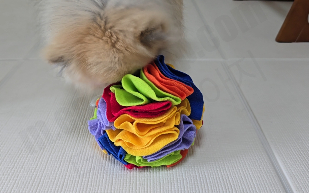 노즈워크 장난감을 가지고 노는 강아지