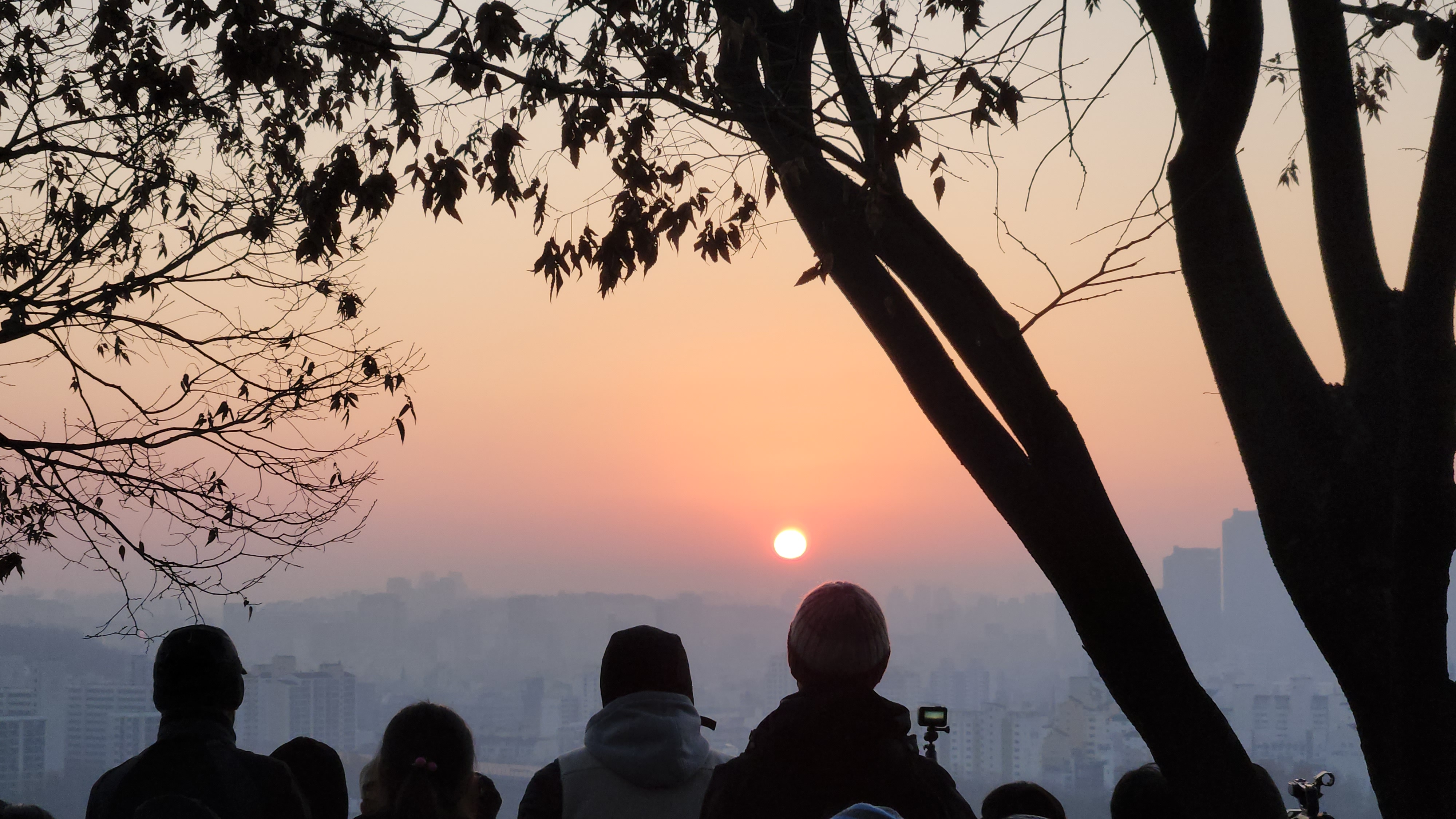 하늘공원 (마포) 새해 일출 해돋이 주차