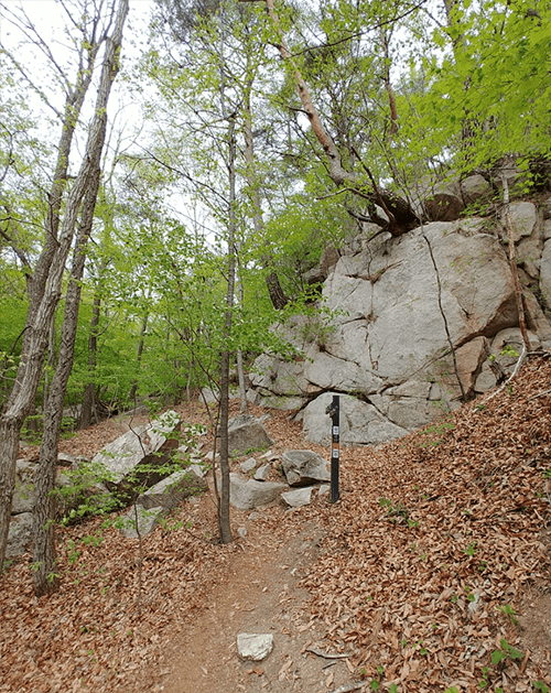 대야산08