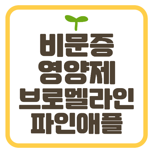 비문증 원인 치료 영양제 브로멜라인 파인애플 효과