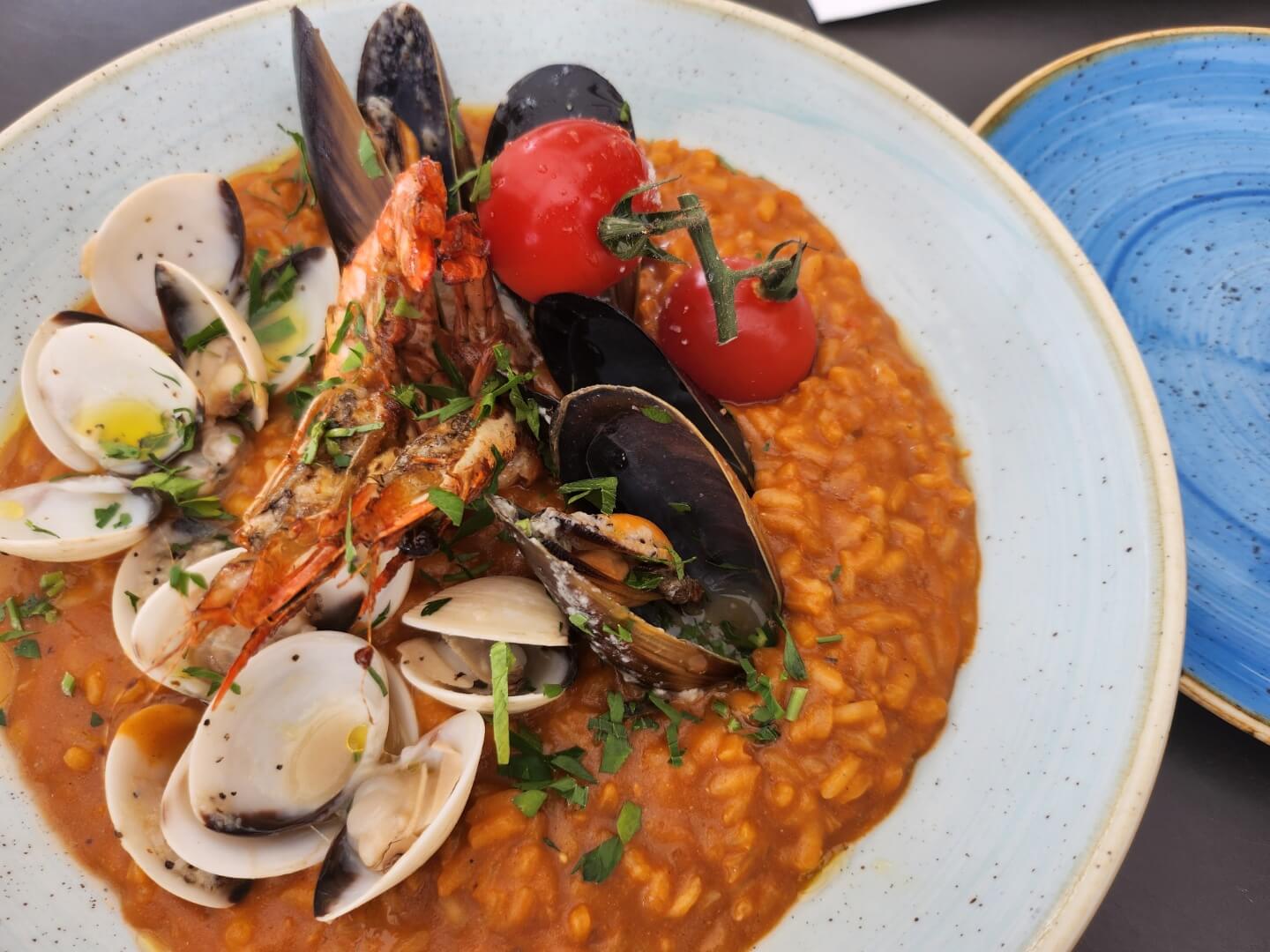 트라피자-리조또