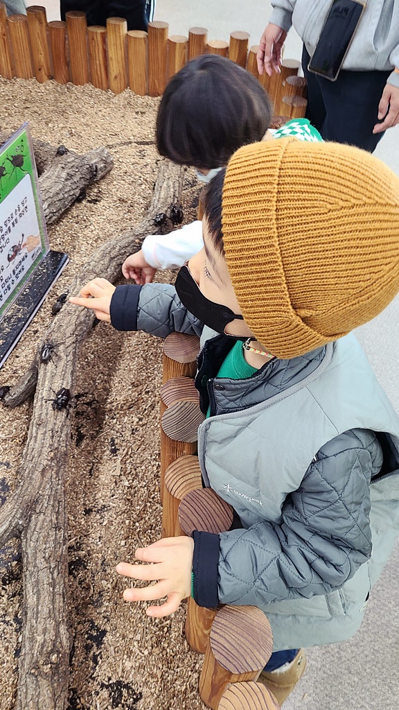 여주곤충박물관