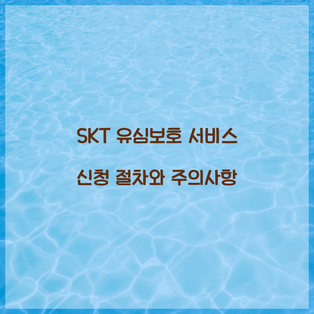 skt 유심보호 서비스