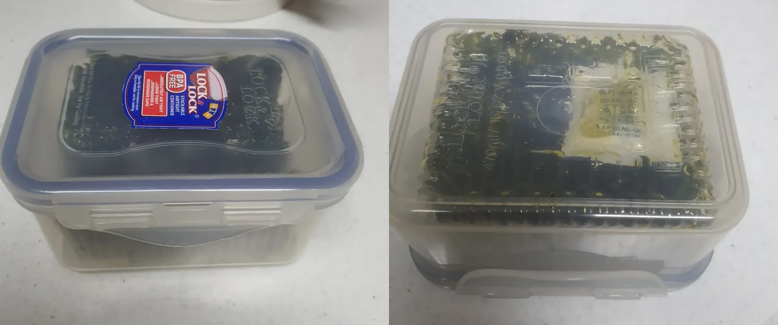 도시락김-플라스틱-트레이-그대로-통에-넣기