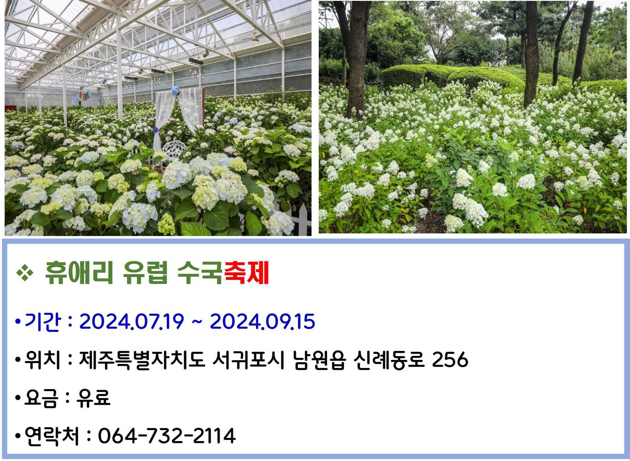 휴애리 유럽 수국축제