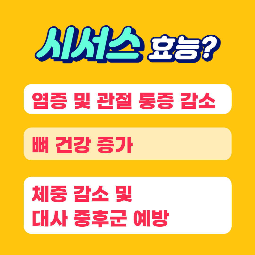 시서스 다이어트 효능 용량 제품 비교 후기