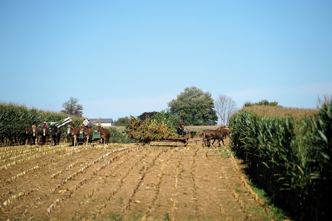 Smart Farm