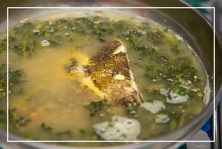 쑥과 쑥갓의 차이