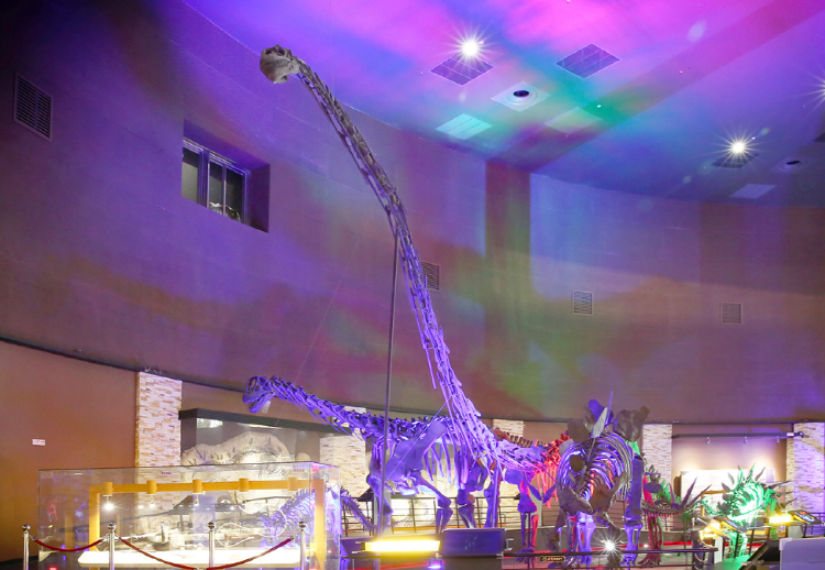 해남 공룡박물관