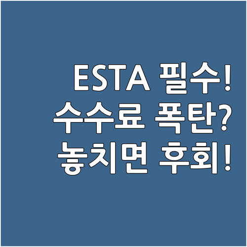 미국 경유 ESTA 필수! 인상된 수..