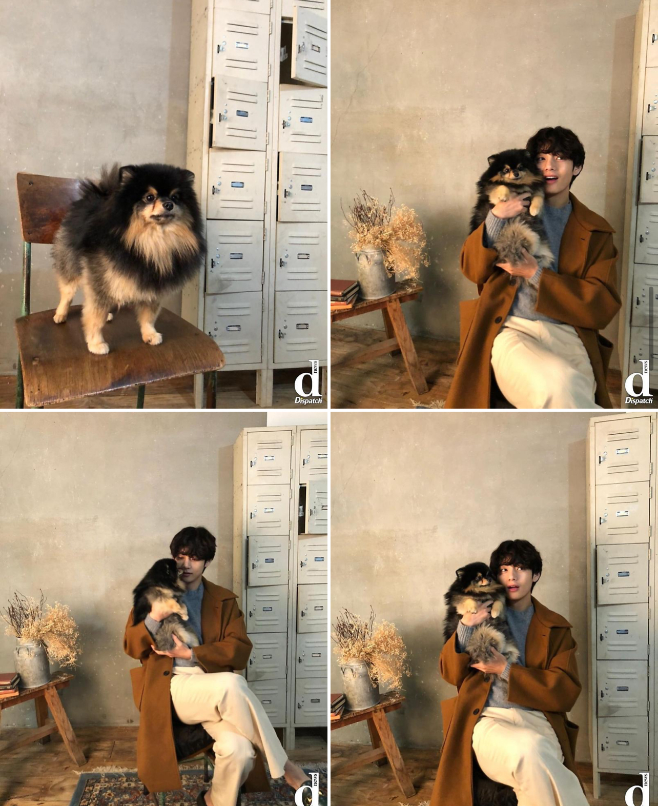 뷔의반려견연탄이