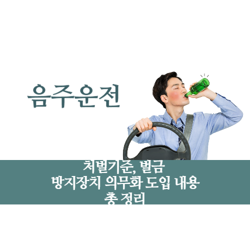 음주운전 내용 총 정리