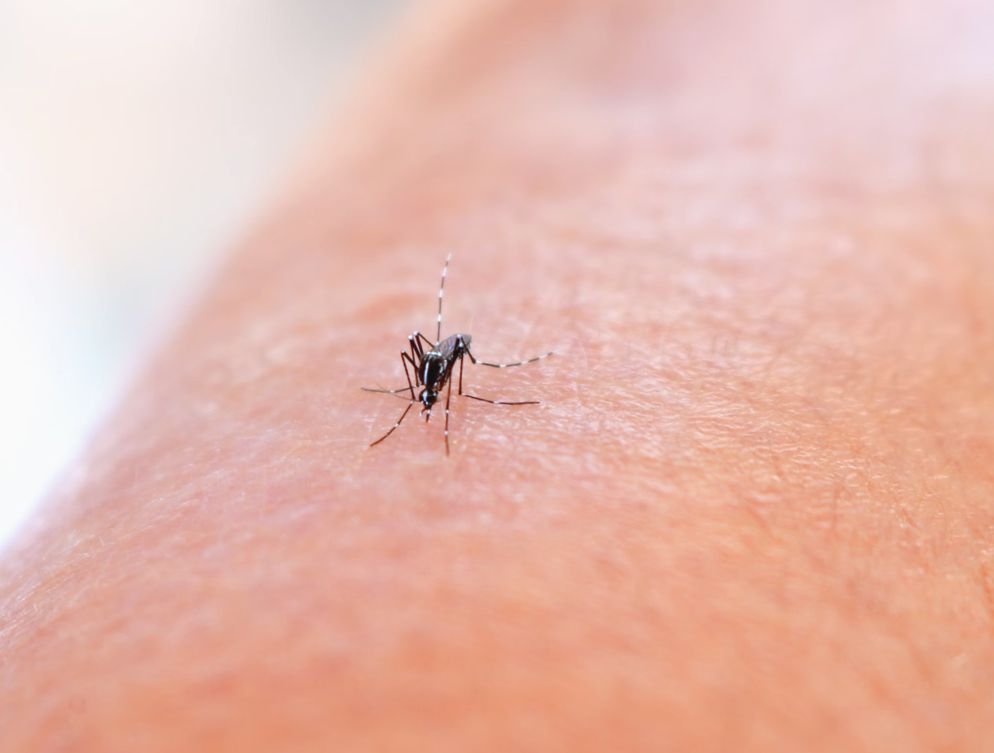 모기추적기 원리