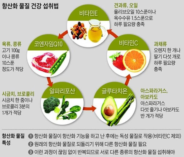 항산화 식품들