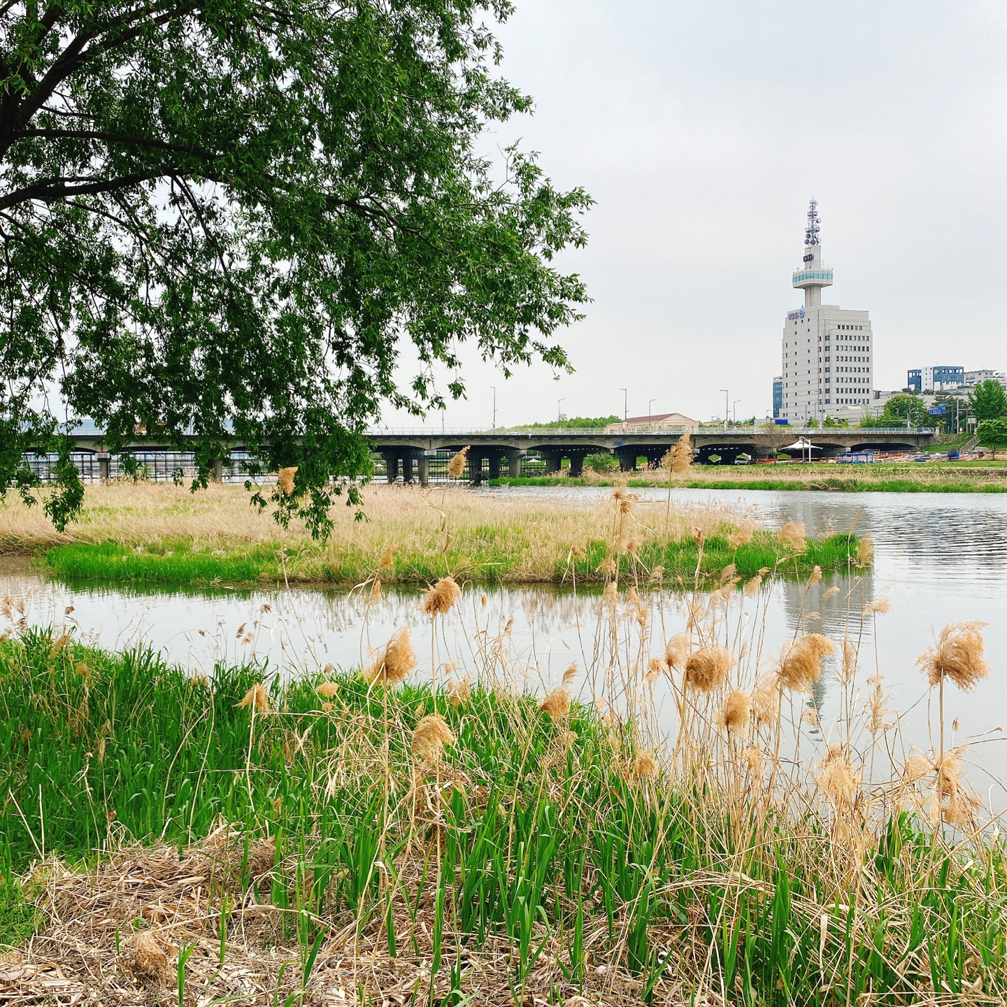 대전 대형베이커리 카페 크로넛 유성공원 에이트 aight