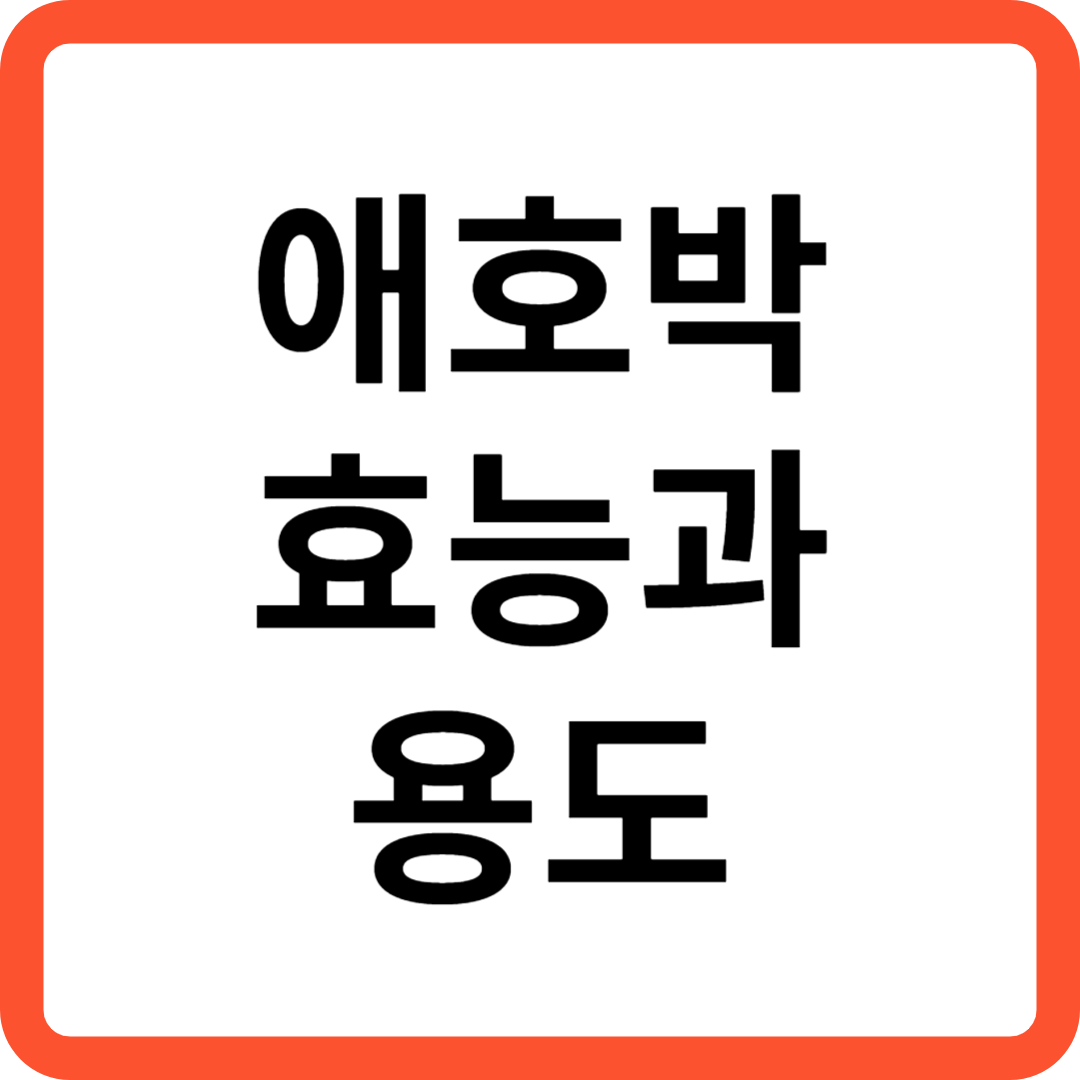 애호박 효능과 용도