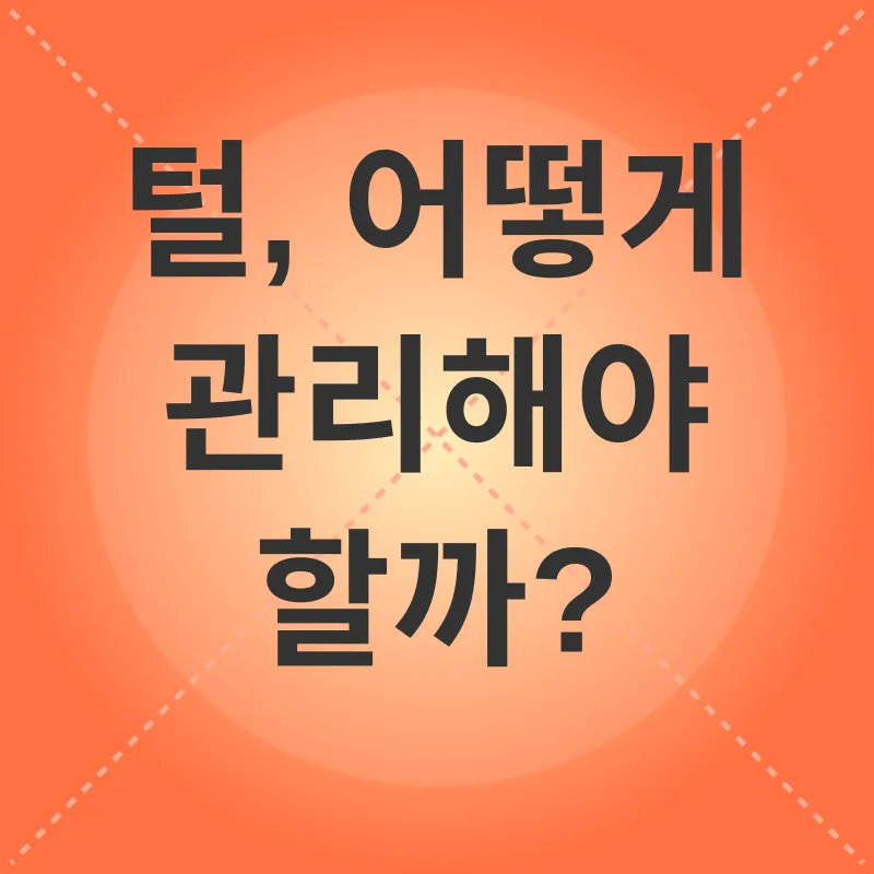 고양이 털빠짐 관리_2