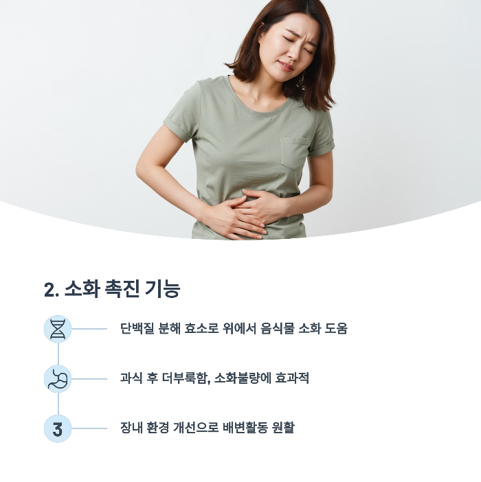 소화 촉진 기능