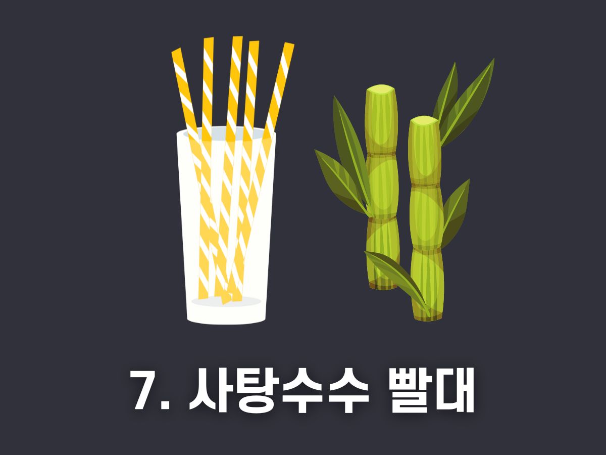 사탕수수 빨대
