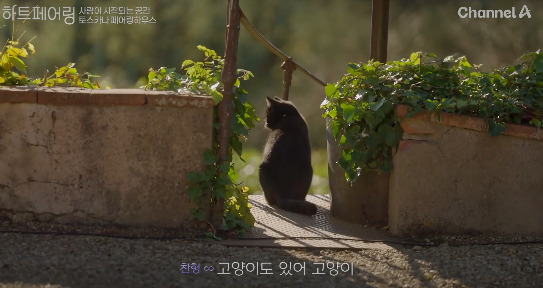 '하트페어링'의 페어링북