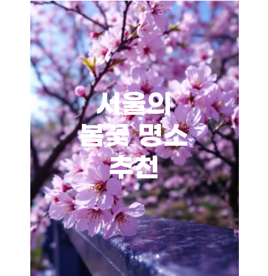 꽃나무 이미지