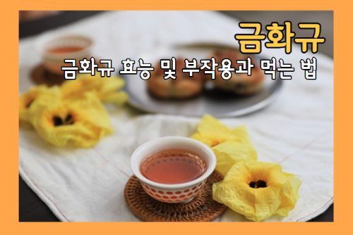 금화규 효능 5가지 및 먹는 법과 부작용