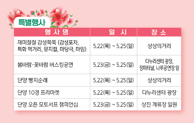 2025 단양 소백산 철쭉제: 봄의 절정을 만나는 시간