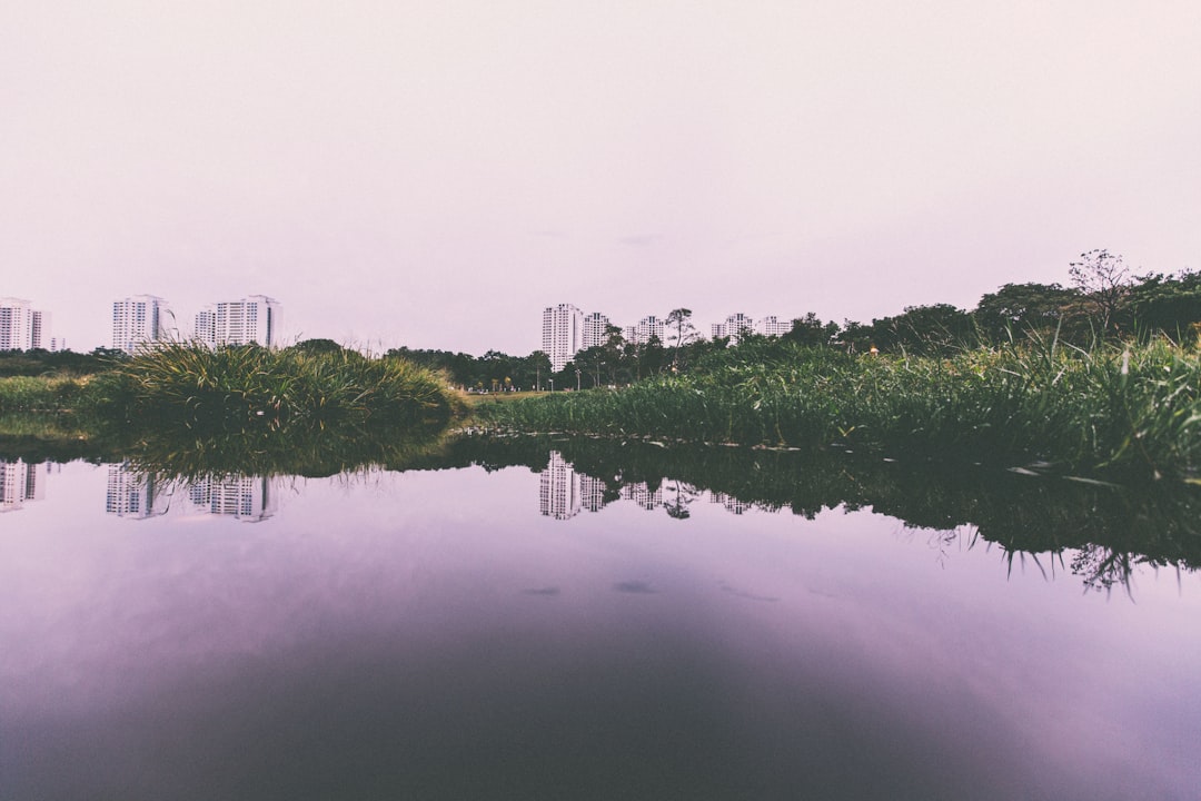 Han River Park