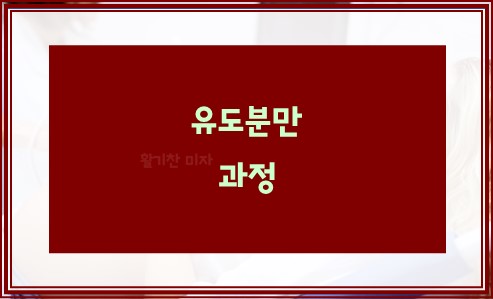 유도분만 과정