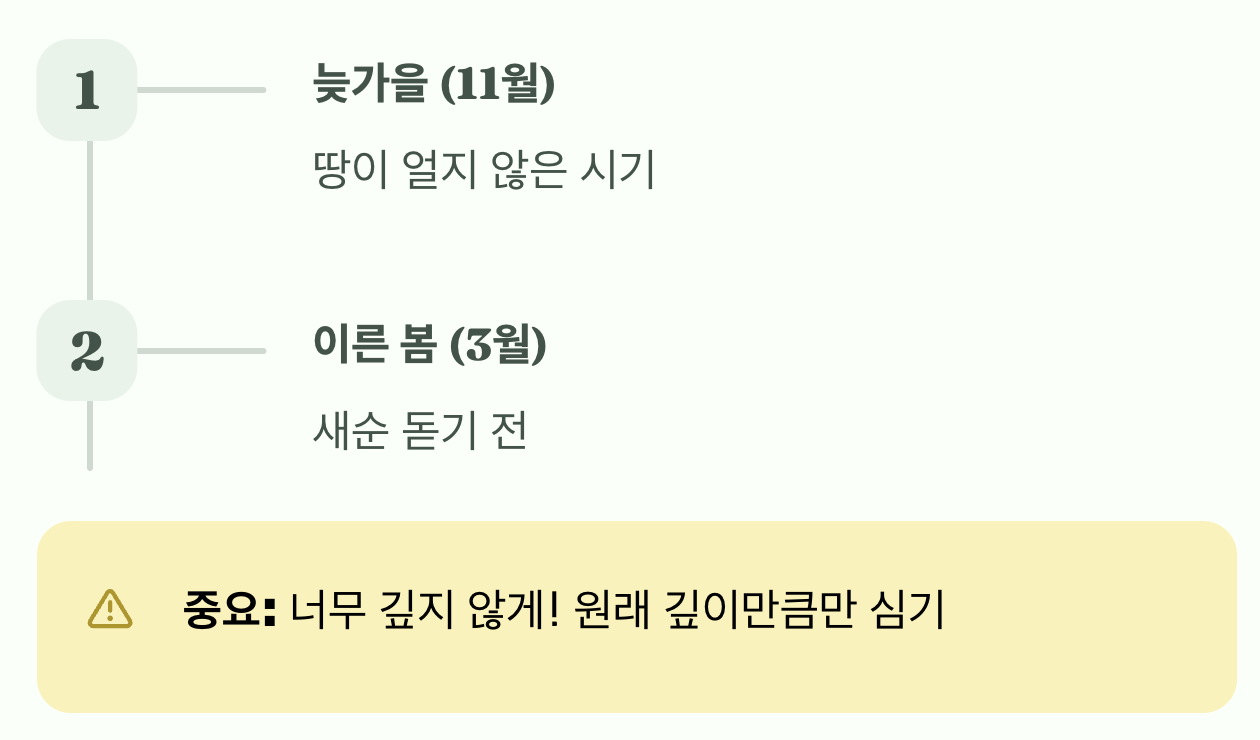 심는 시기와 방법, 너무 깊지 않게!