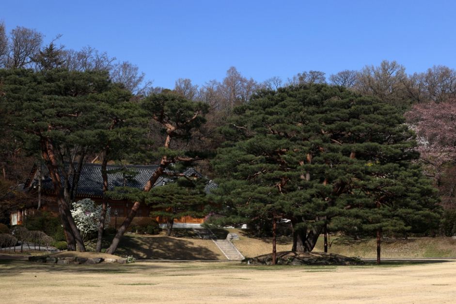 녹지원