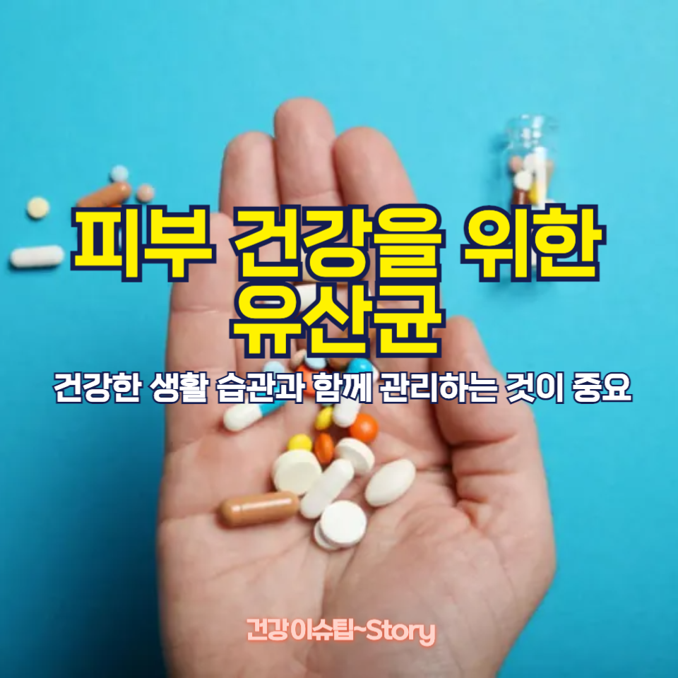 피부유산균, 어떤 걸 먹어야 할까?