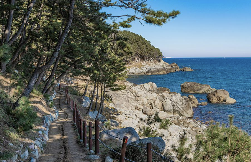 영덕 블루로드