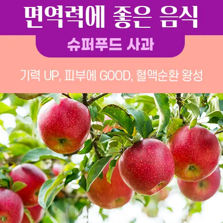 면역력에 좋은 음식