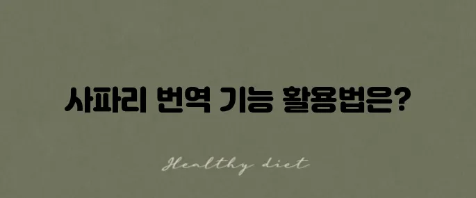 아이폰 사파리에서 영어로 번역하는 기능 활용 방법을 알아보세요!