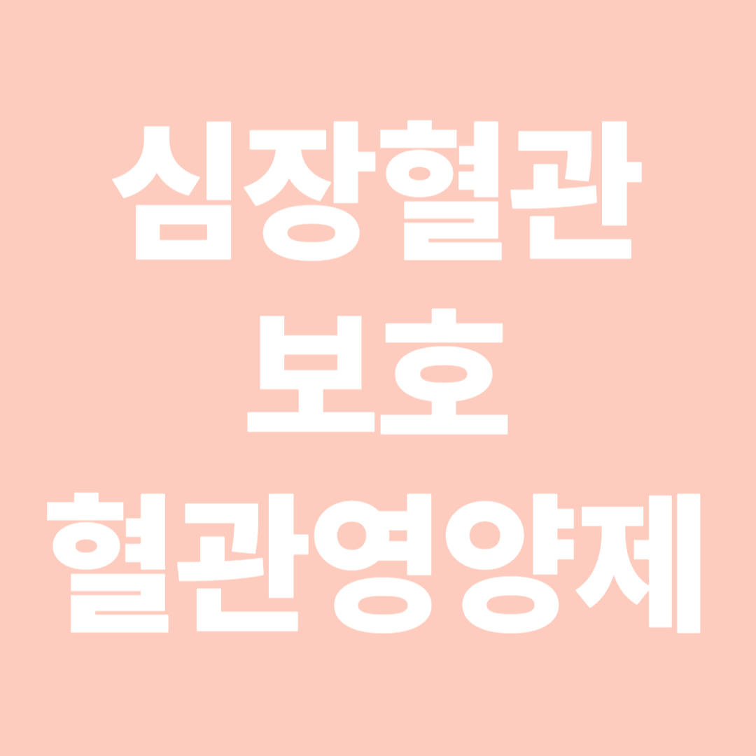 심장혈관보호 혈관영양제