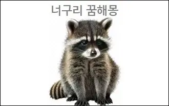 너구리 꿈해몽