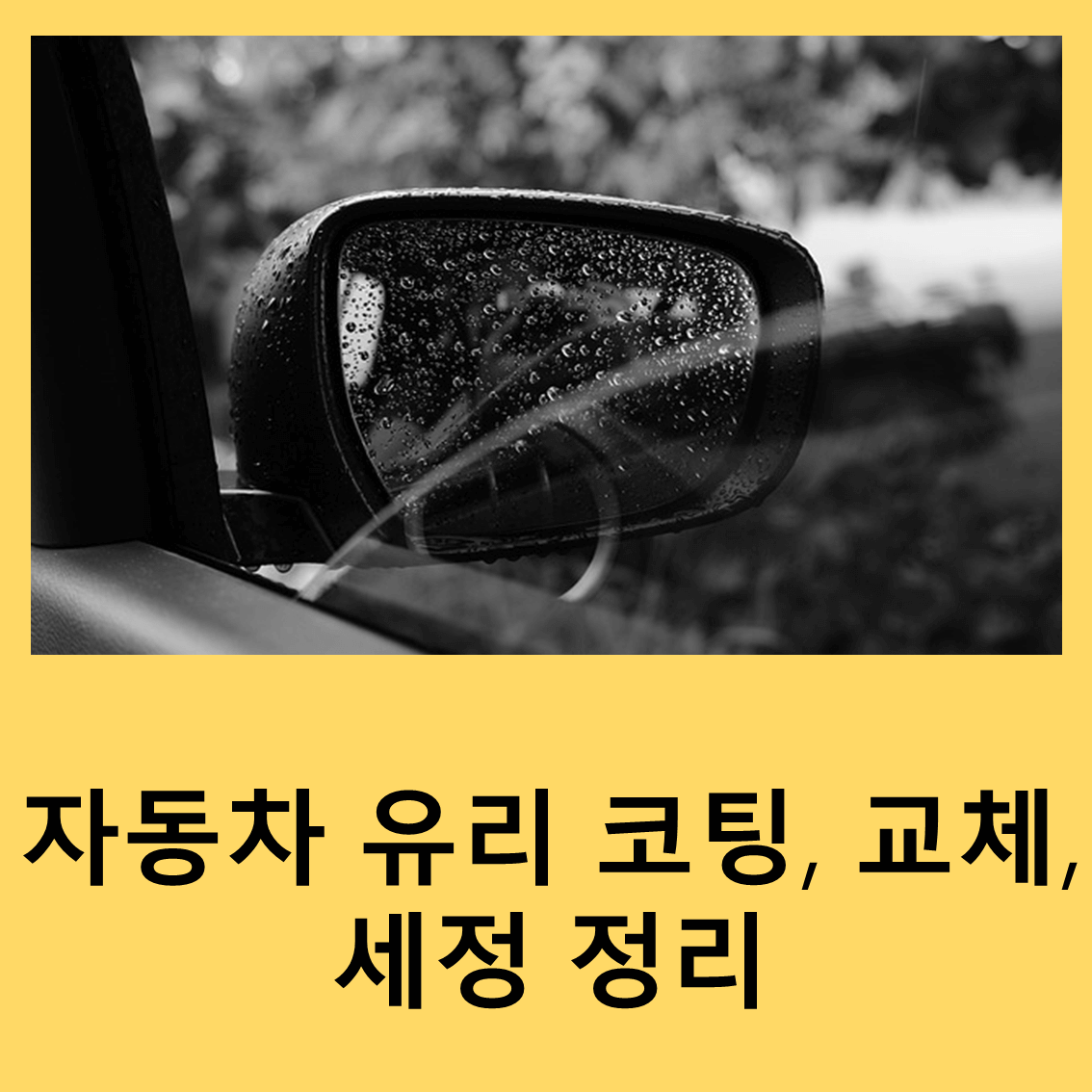 자동차