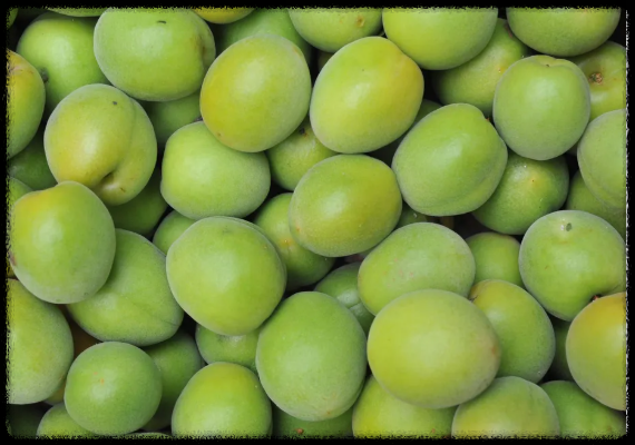 장염에좋은음식