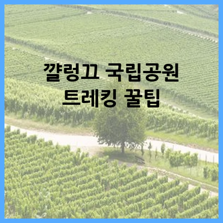 꺌렁끄 국립공원 트레킹 꿀팁