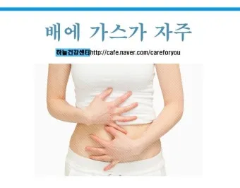 배에 가스가 차고 방귀를 자주 뀜 원인부터 해결책까지 한번에 알아보기_15