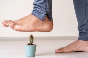 통풍