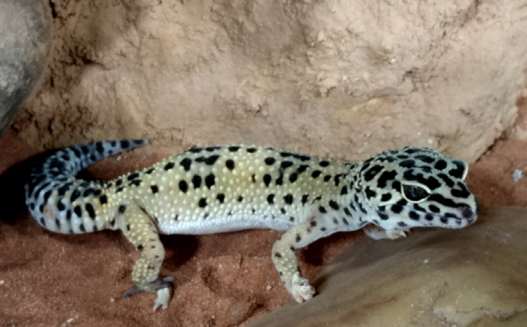 부천 자연생태공원