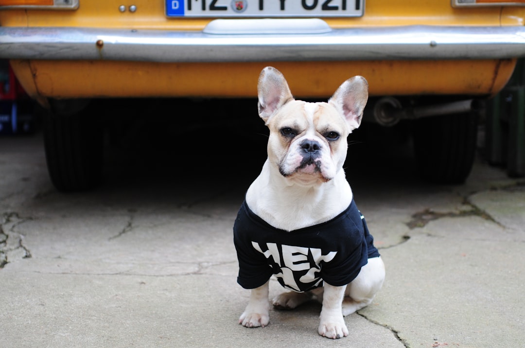 pup