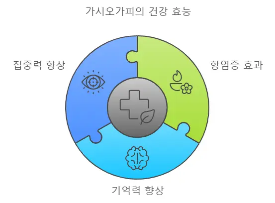 가시오가피 건강효능