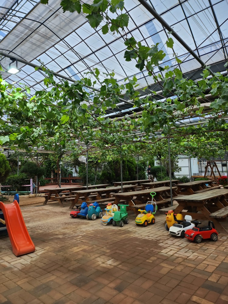 놀이공간에 놓여있는 자동차들