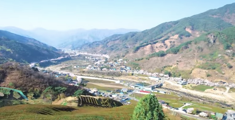 하동 정금차밭1