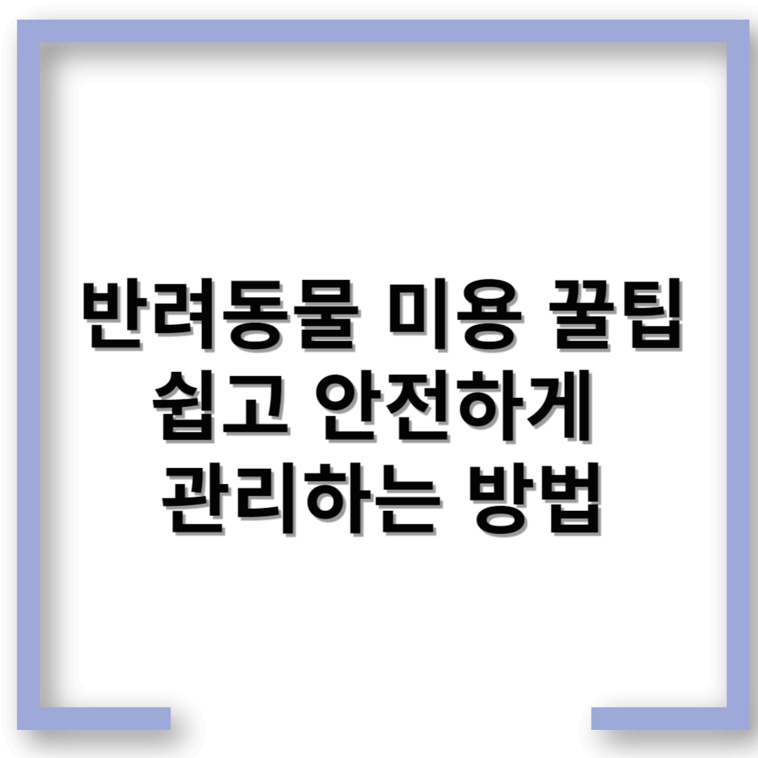 반려동물 미용 꿀팁 – 쉽고 안전하게 관리하는 방법